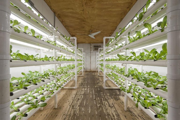 Shipping Containers Could be the Farms of the Future