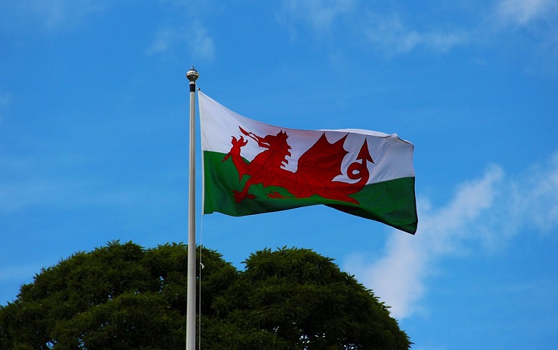 FTA Joins a Welsh Working Group to Ensure Efficient Logistics after Brexit