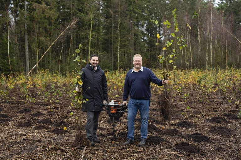 STILL Plants 1,000 Trees for Its 100th Anniversary