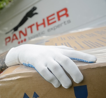 Panther Logistics Signs Exclusive Partnership with Sky