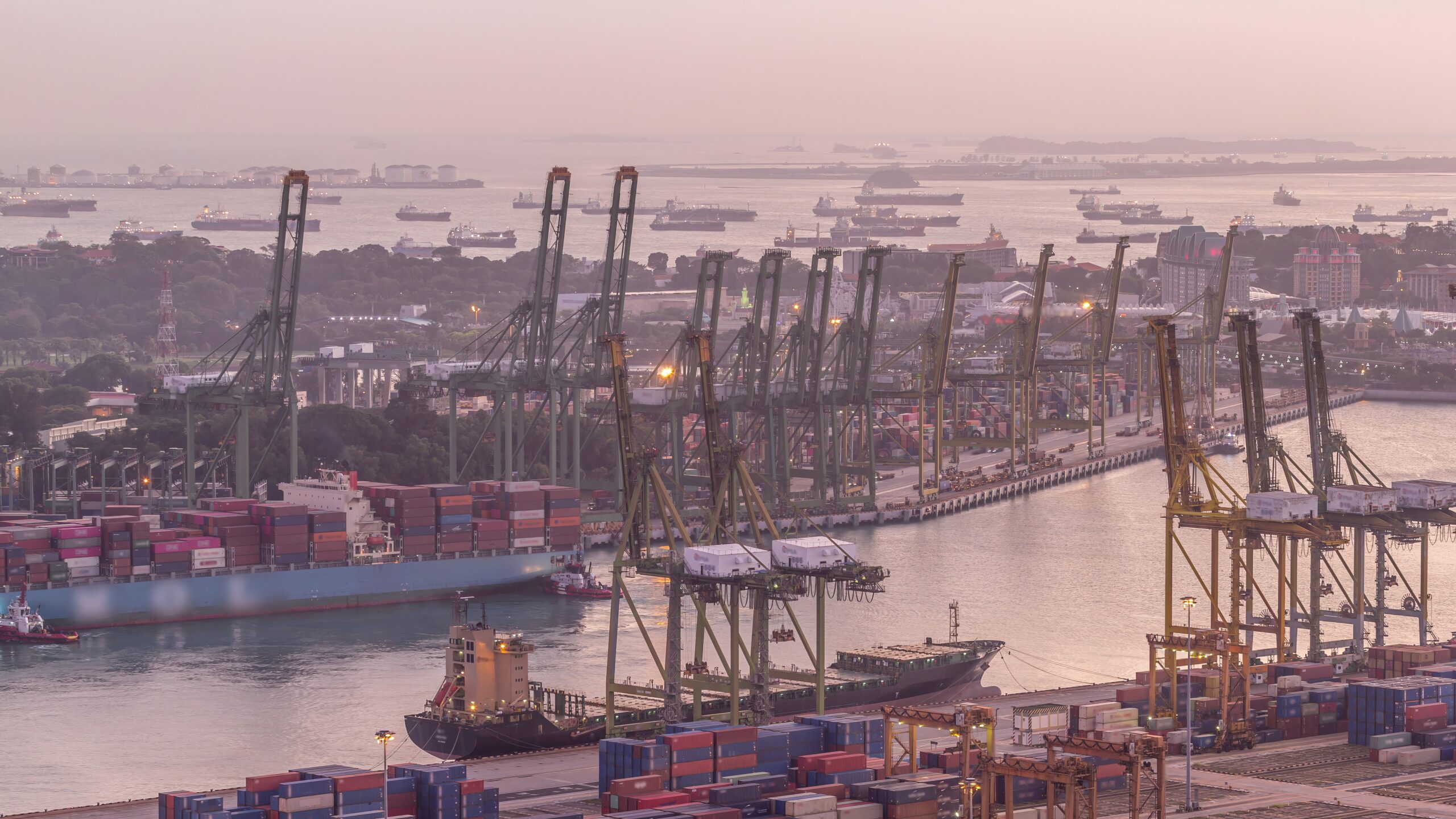 Innovative Solutions for Specialised Shipping Challenges